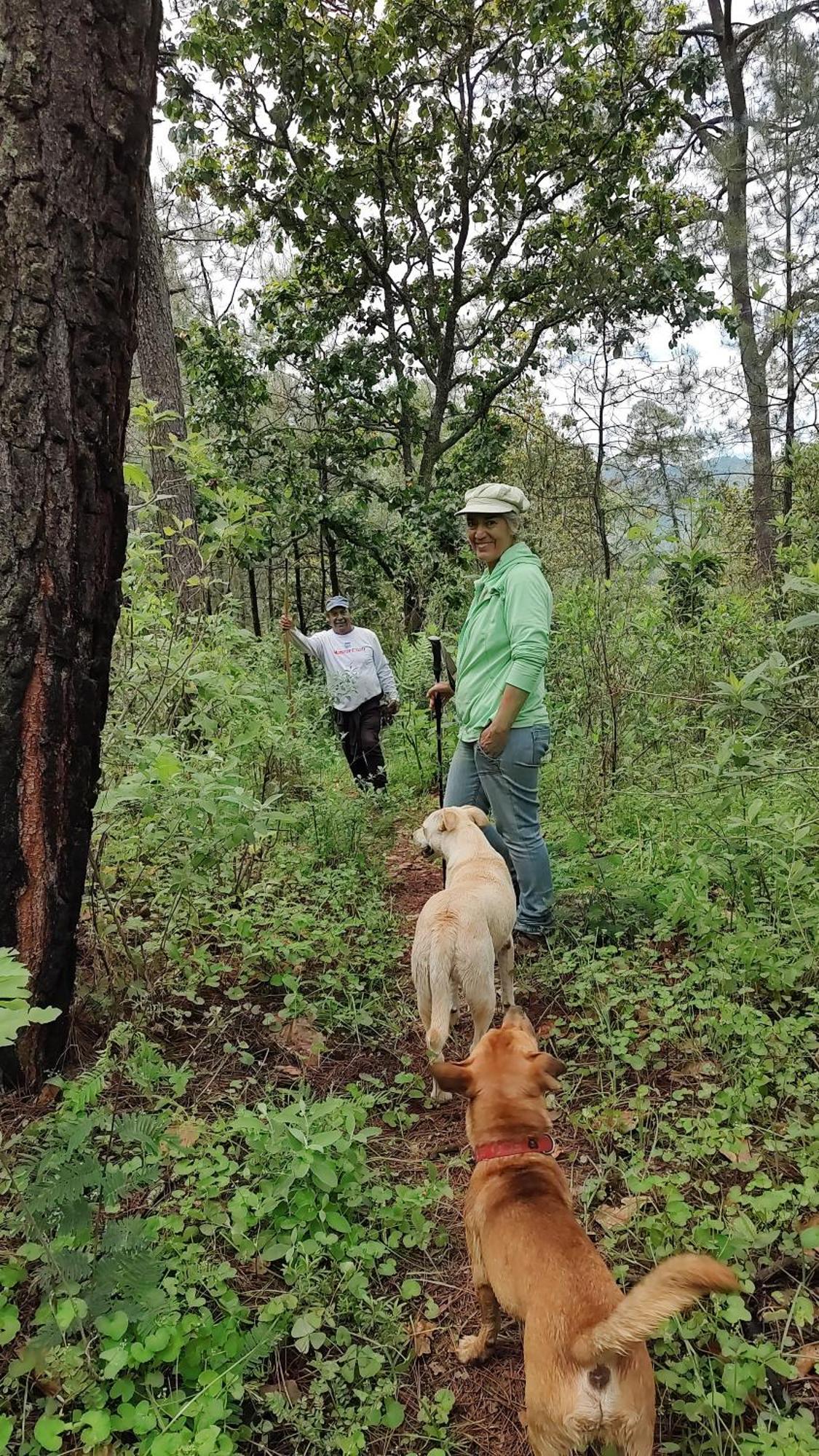 El Encinal De Las Flores Valle de Bravo Eksteriør bilde